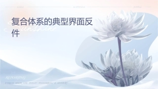 复合体系的典型界面反应课件