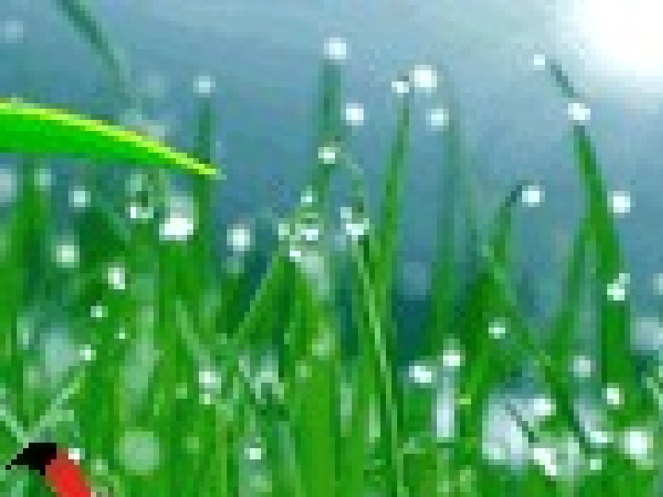 人教新课标版初中七上《秋天》课件_第3页