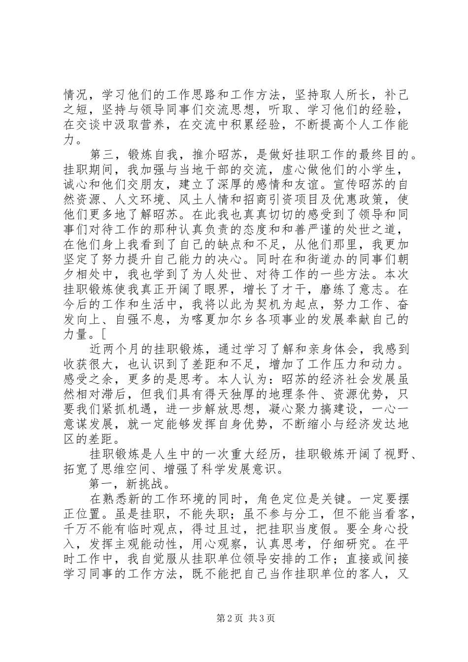 挂职干部心得体会 _第2页