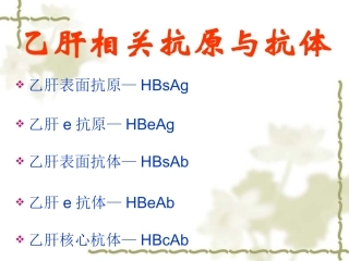 乙肝相关抗原与抗体