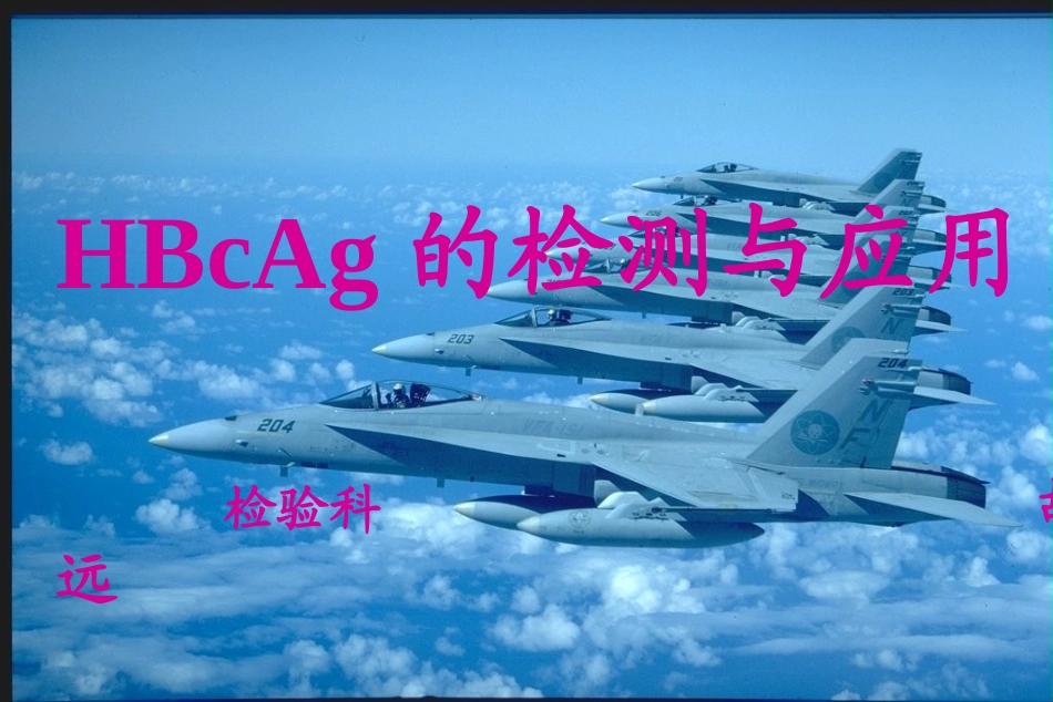 乙肝核心抗原的检测与应用_第1页