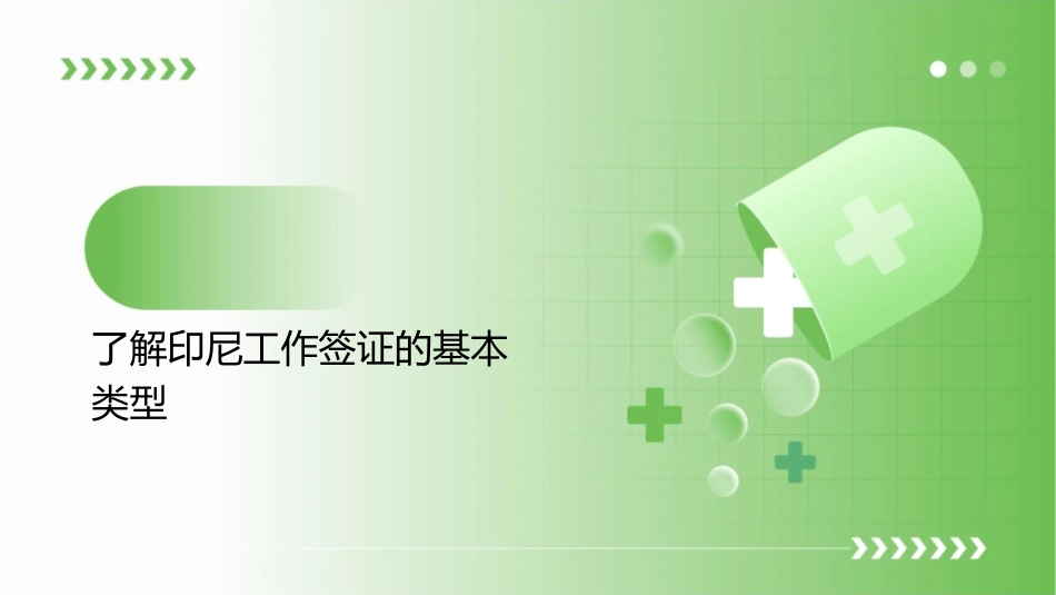印尼工作签证的基本流程课件_第3页