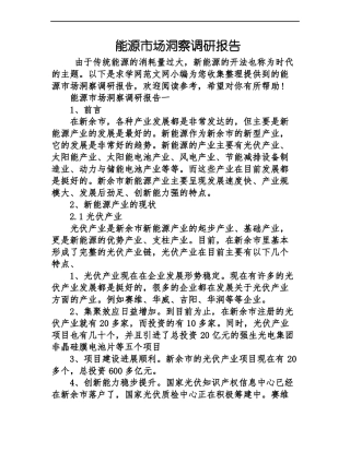 能源市场洞察调研报告
