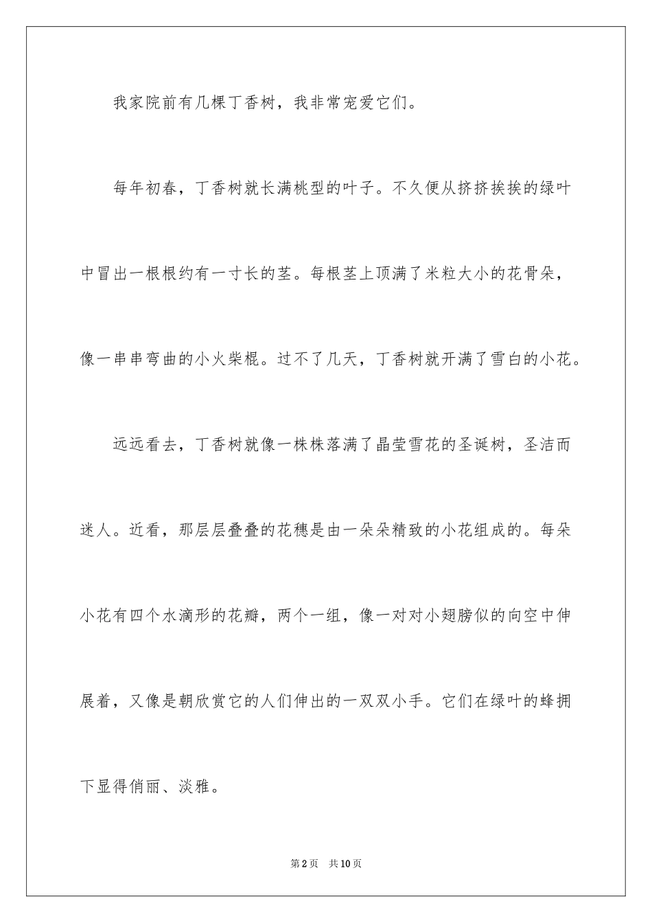 2024丁香树作文_第2页
