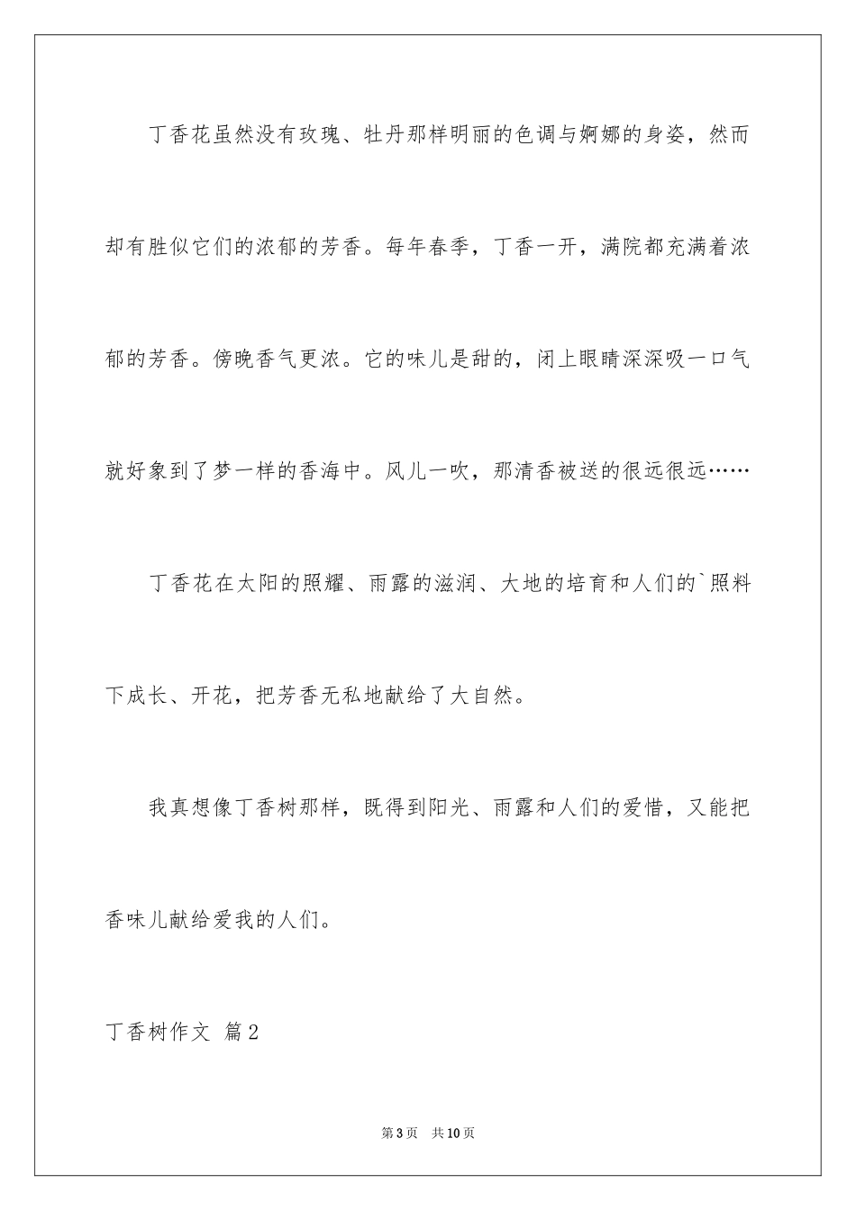 2024丁香树作文_第3页