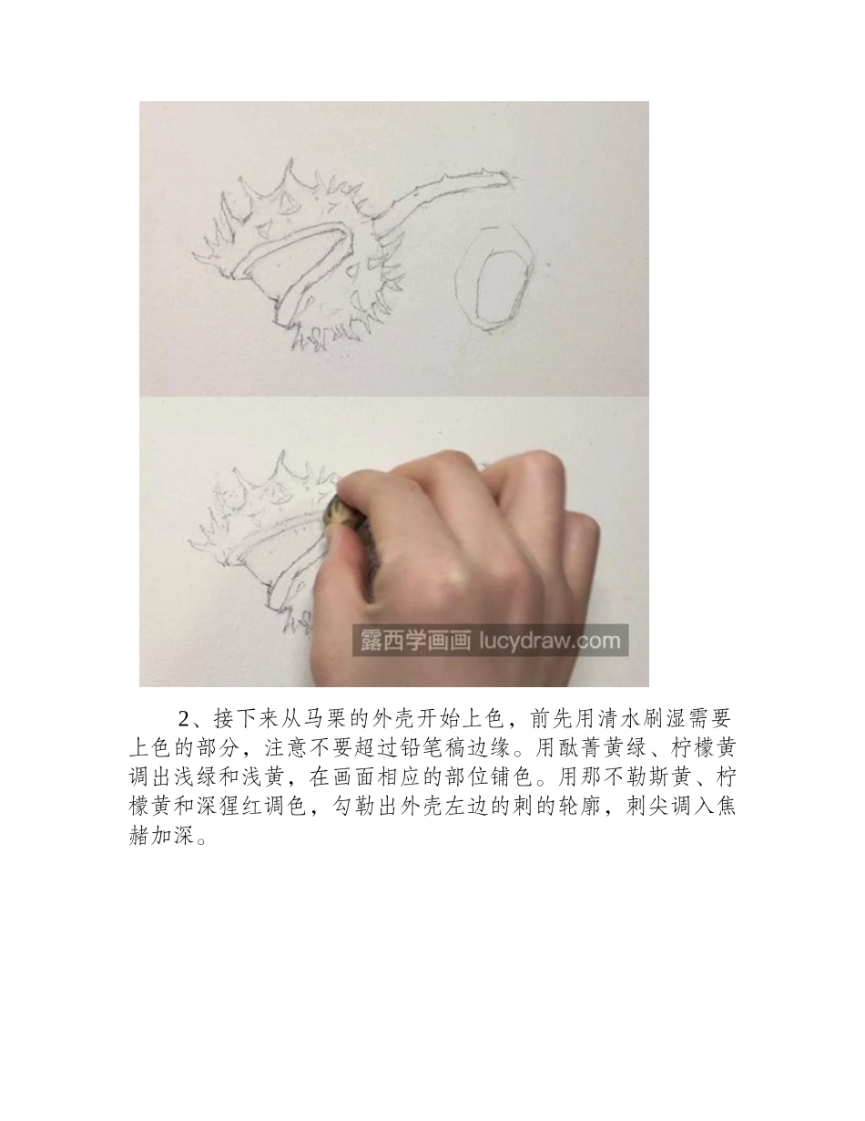 马栗怎么画_水彩画步骤有几步_水彩画教程_第2页