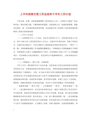 上半年招商引资工作总结和下半年工作计划2 