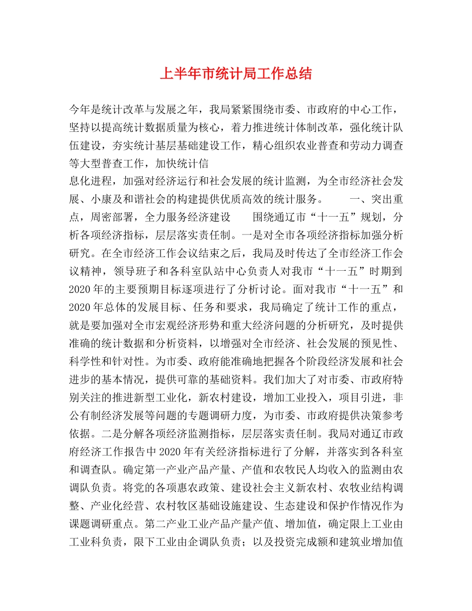 上半年市统计局工作总结 _第1页