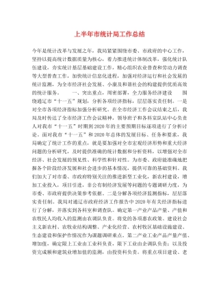 上半年市统计局工作总结2 