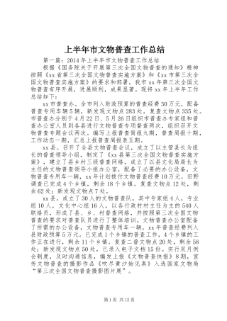 上半年市文物普查工作总结