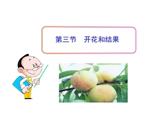 《开花和结果》课件_新人教版