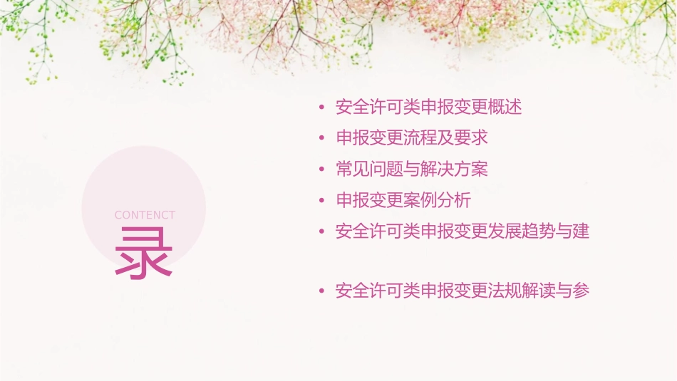 安全许可类申报变更讲义课件_第2页