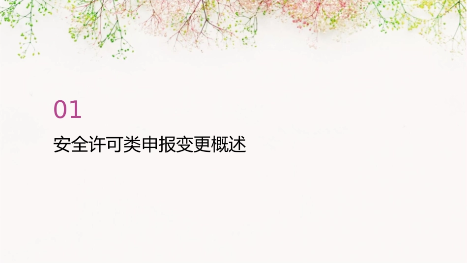 安全许可类申报变更讲义课件_第3页