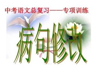 中考总复习病句修改