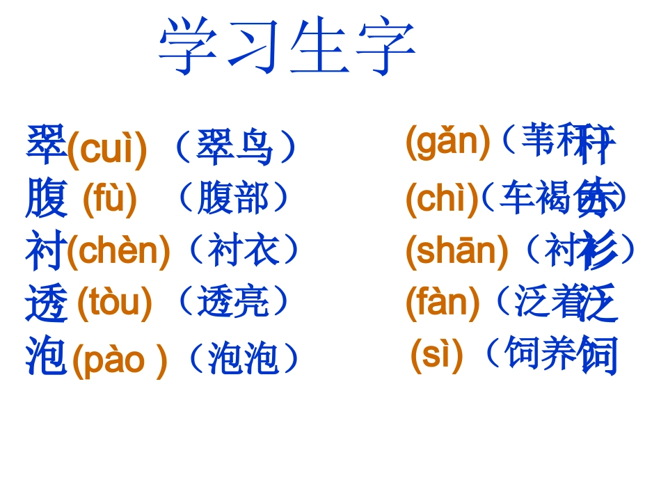 《翠鸟》课件23_第3页
