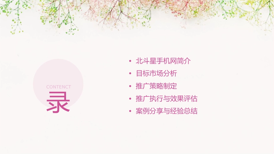 北斗星手机网推广策略课件_第2页