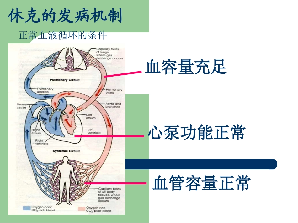 中毒性休克综合征_第3页