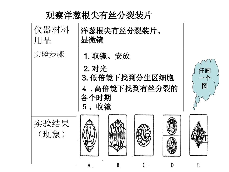显微镜操作课件_第1页