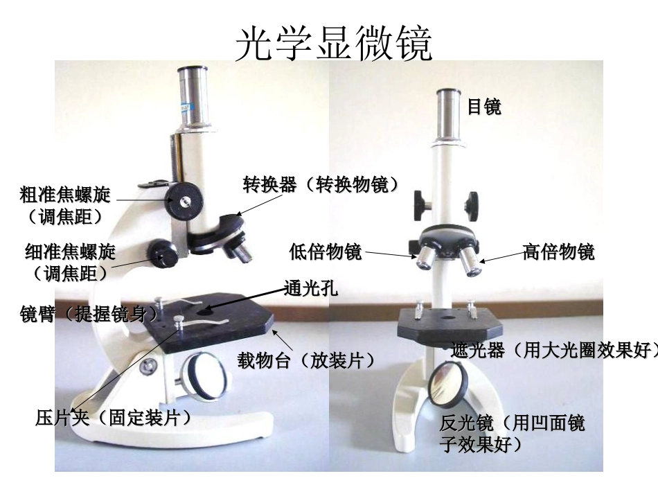 显微镜操作课件_第2页