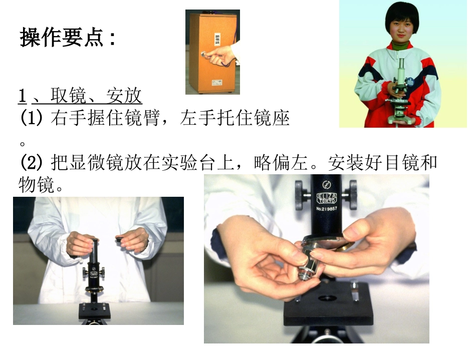 显微镜操作课件_第3页