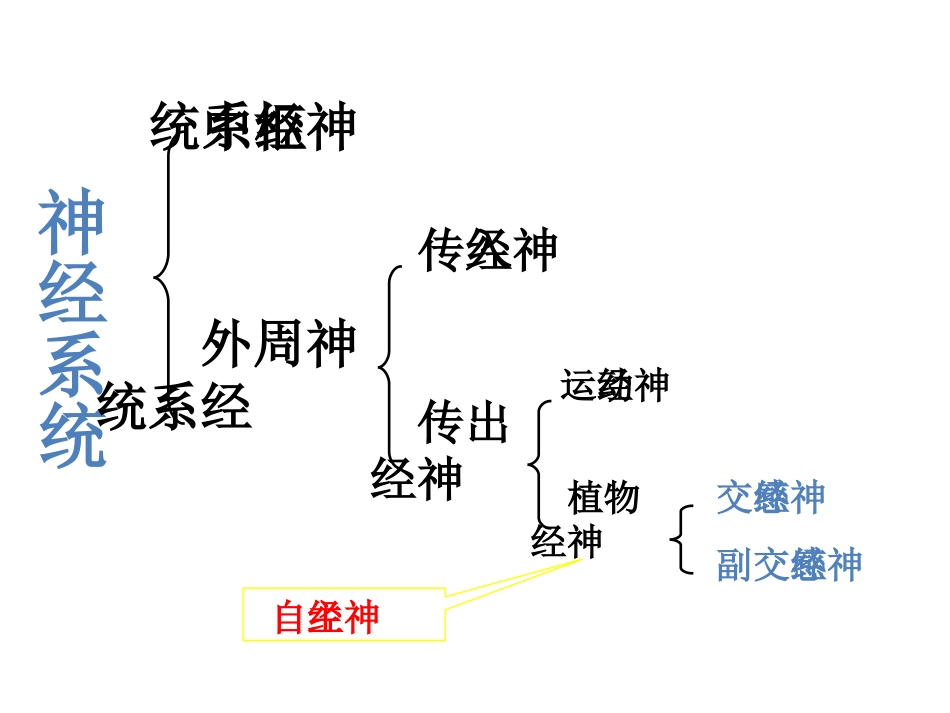 中枢神经系统药理_第1页