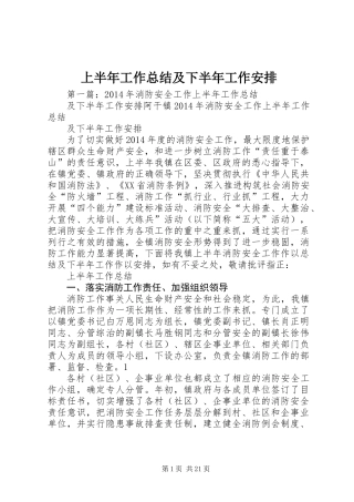 上半年工作总结及下半年工作安排 (3)