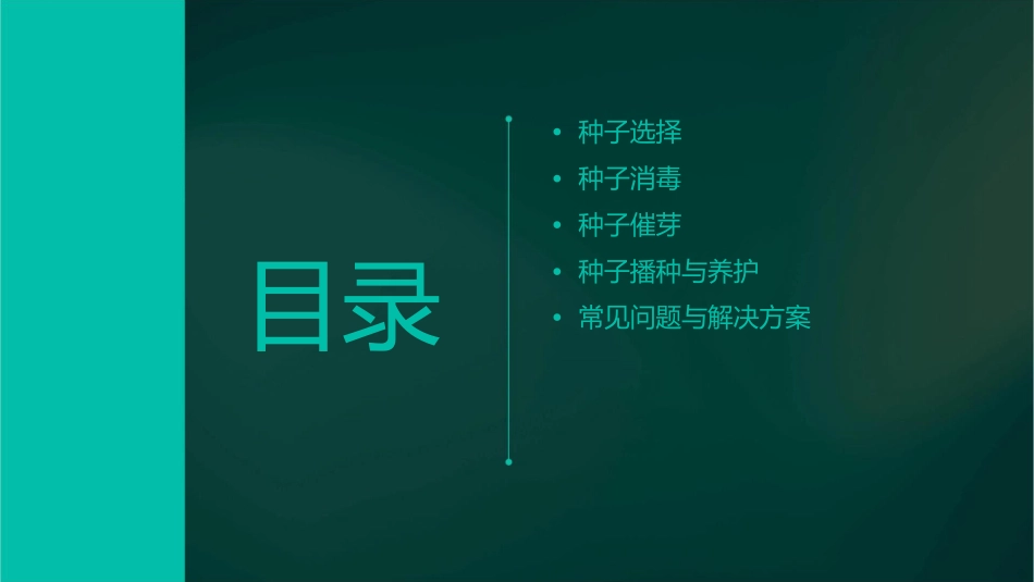 如何对黄瓜种子进行处理课件_第2页