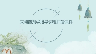 宋梅药剂学指导课程护理课件