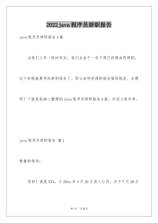 2024java程序员辞职报告_3