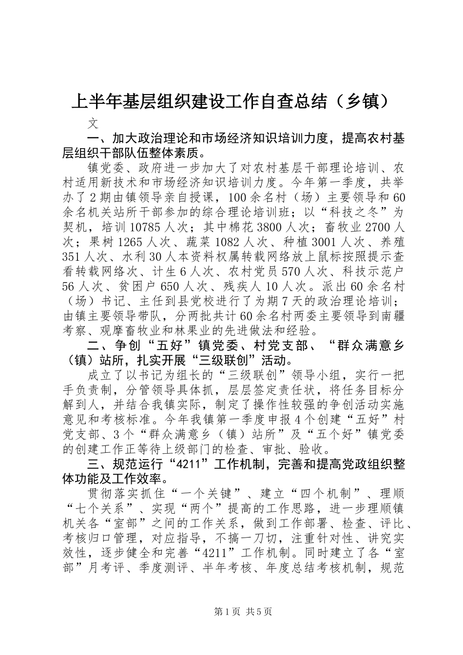 上半年基层组织建设工作自查总结(乡镇)_第1页