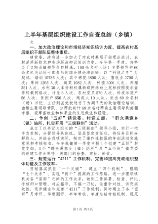 上半年基层组织建设工作自查总结(乡镇)