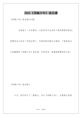 2024《顶碗少年》读后感_3