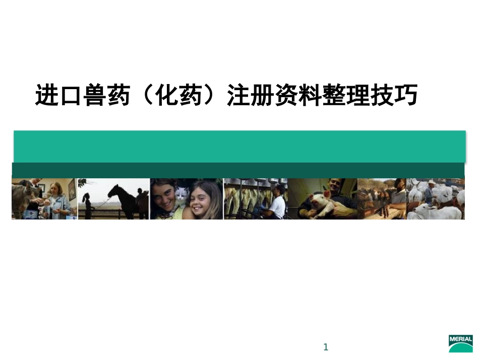 中国进口兽药(化药)注册技巧(Product-registration-skill-of-importing-Veterinary-pharmaceuticals)_第1页