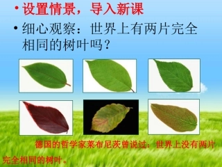 六环节教学法生命因独特而绚丽