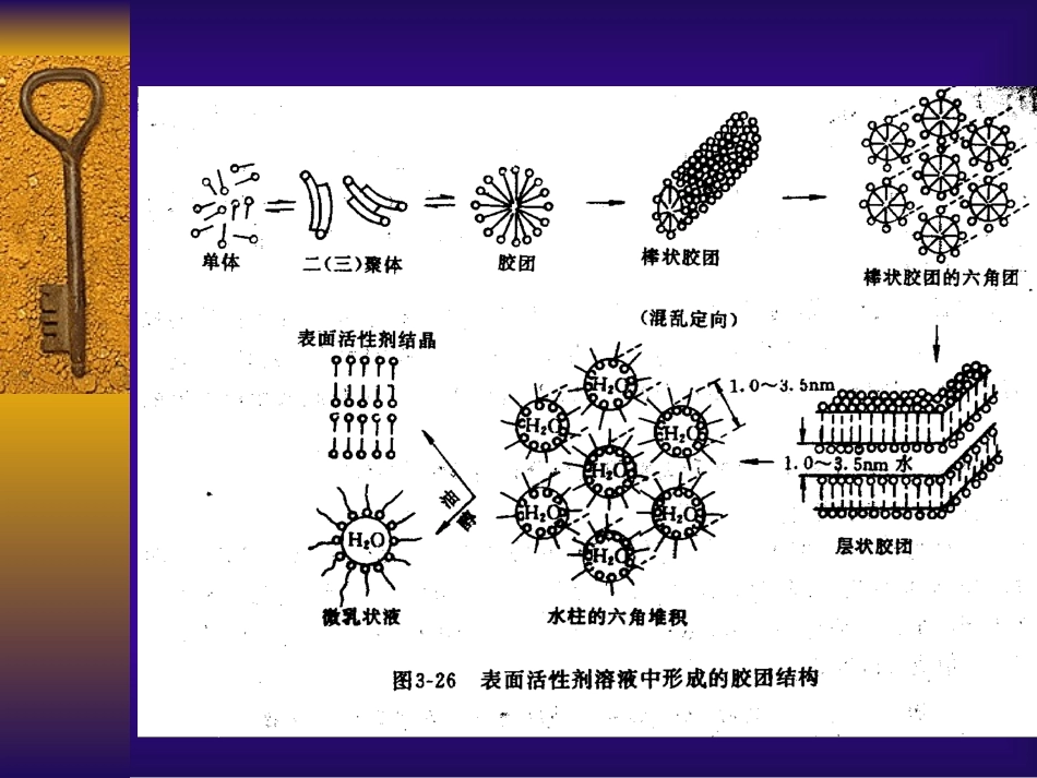 中国药科大学研究生药剂学-表面活性剂_第2页