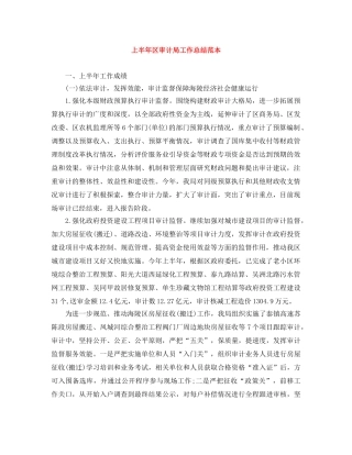 上半年区审计局工作总结范本 