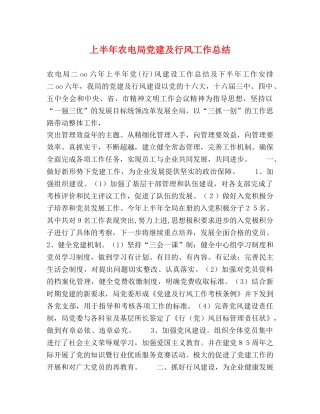 上半年农电局党建及行风工作总结2 