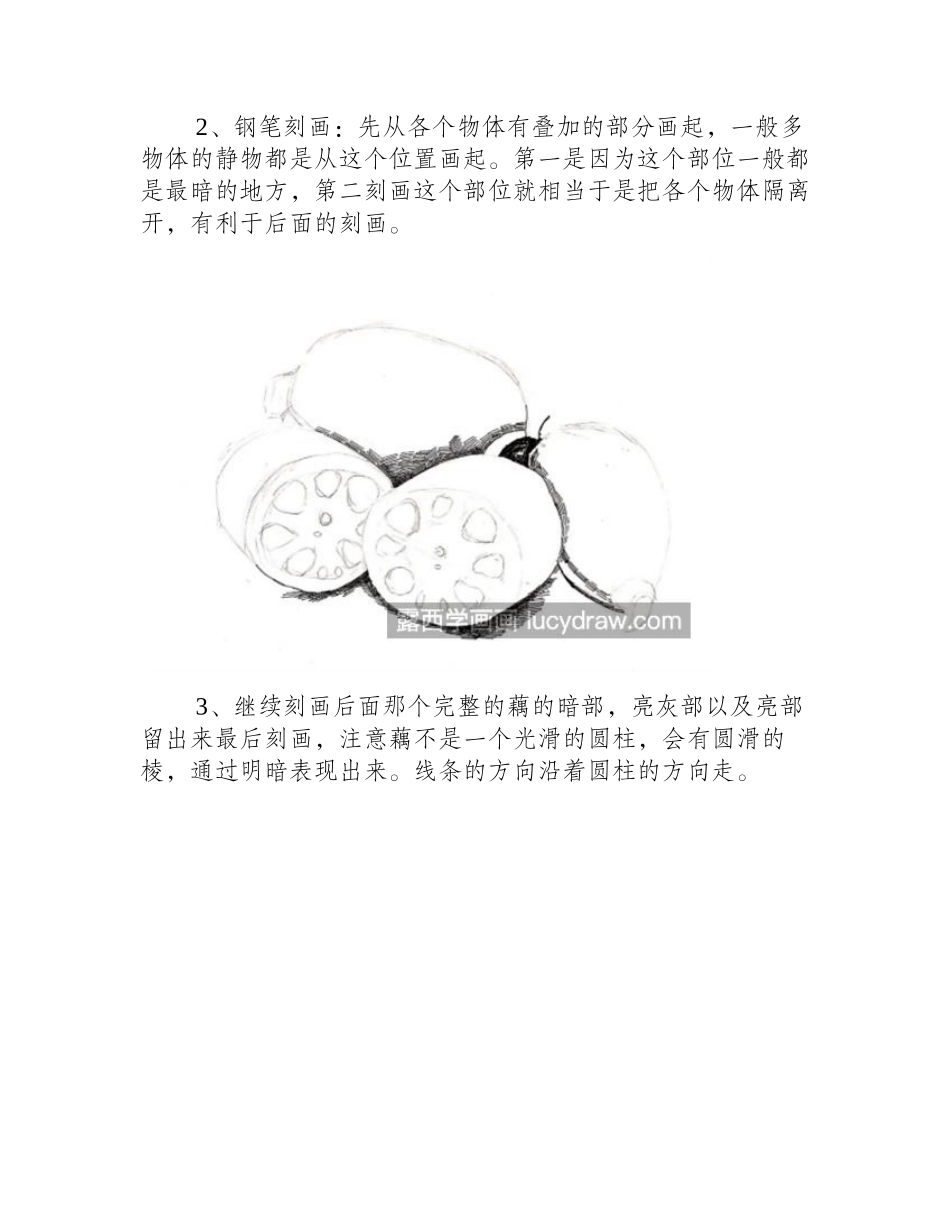 莲藕怎么画_简笔画教程是什么_简笔画教程1_第2页