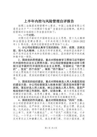 上半年内控与风险管理自评报告 (2)