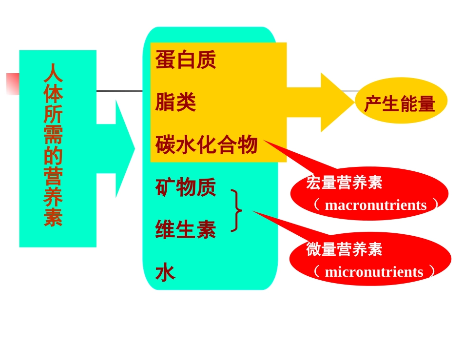 中国居民膳食营养素参考摄入量(DRIs)(2013-修订版)资料_第3页