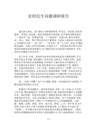 农村民生问题调研报告 
