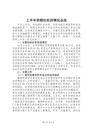 上半年供销社经济情况总结