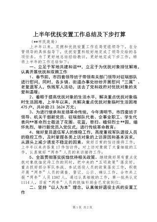 上半年优抚安置工作总结及下步打算