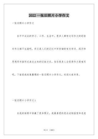 2024一张旧照片小学作文_5