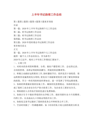 上半年书记助理工作总结 