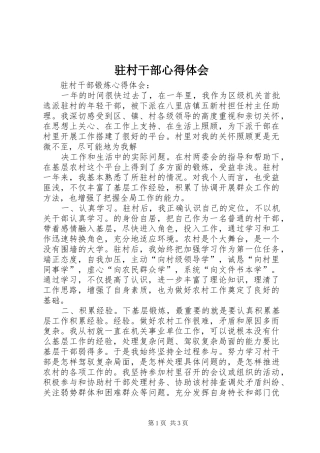 驻村干部心得体会 