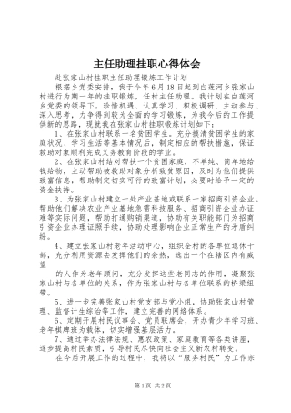 主任助理挂职心得体会 