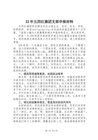 XX年五四红旗团支部申报材料