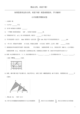 2019学年小升初数学试卷新人教版