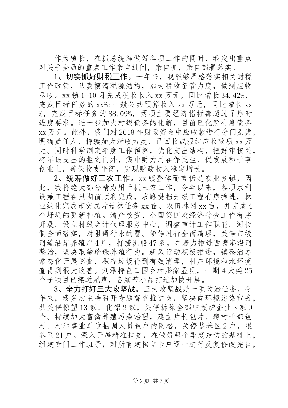 XX年乡镇镇长述职报告_第2页